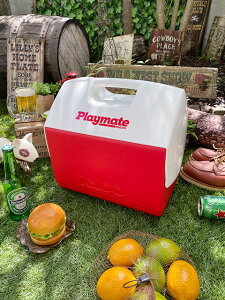 CO[@vCCg@G[g@15L@ibhj igloo@AJG݁@AJG݁@Lv@Lp[@AEghAObY@BBQ@o[xL[@OsO