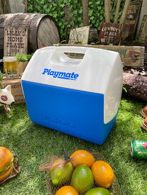 イグルー　プレイメイト　エリート　15L　（ブルー） igloo　アメリカン雑貨　アメリカ雑貨　おしゃれキャンプ　おしゃれキャンパー　アウトドアグッズ　BBQ　バーベキュー　グランピング　無骨　かっこいい　ショップインテリア　クーラーボックス