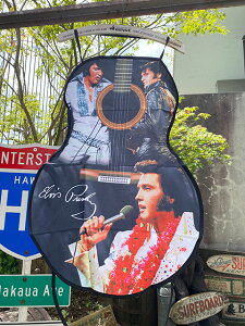 GBXEvX[@M^[Gv@AJG݁@AJG݁@ObY