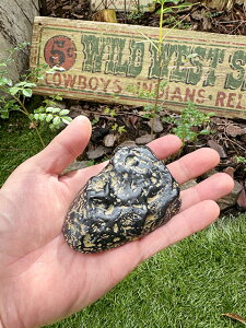 AJ̊Ό^BL[P[X@iubNj@AJG݁@AJG݁@ObY