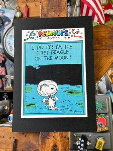 nEbh|X^[@#0186@s[ibc@Xk[s[@No.10@AXgm[c@NVbNJ[gD[@B4TCY@pt[͕ʔł@AJG݁@AJG݁@ObY@