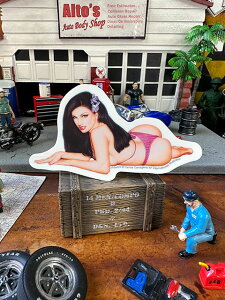 sibvK[XebJ[@NO.10K[@iMTCYj@AJG݁@AJG݁@ObY