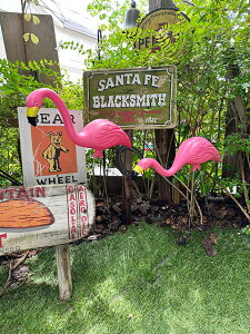 �s���N�t���~���S�@�K�[�f���I�[�i�����g�@2�̃Z�b�g�@�A�����J���G�݁@�A�����J�G�݁@�O�b�Y