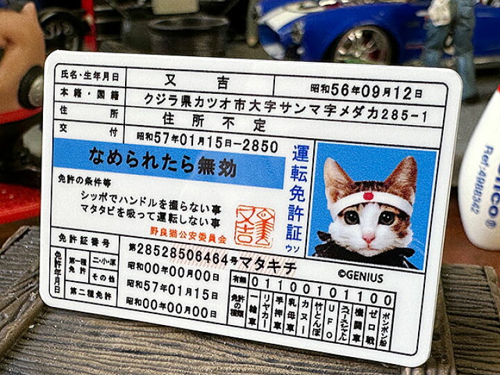 楽天市場】なめんなよ なめ猫 ステッカー Sサイズ （免許証 