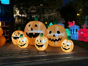 y[zy݌ɂznEB@6AChpvL@GA[fBXvC@LTCY@GAu[@230cm@AJG݁@AJG݁@ObY