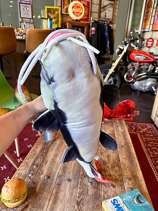楽天市場】リアル熱帯魚ぬいぐるみ レッドテールキャットフィッシュ 