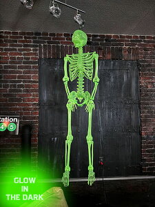 y[zy݌ɂzÈłŌI@gTCY@~@fBXvCKCRc@150cm@LTCY@AJG݁@AJG݁@ObY