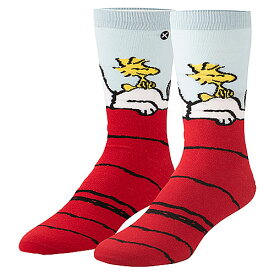 ODD　SOX　ピーナッツ　スヌーピー　ソックス　（SNOOPY & WOODSTOCK）　靴下　8-12（26～30cm）　オッドソックス