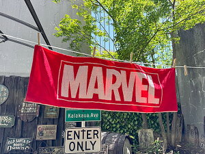 }[x@{bNXS@X|[c^I@AJG݁@AJG݁@ObY@MARVEL@}[F@AxW[Y