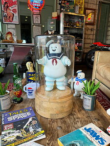 KXh[@fBXvCP[X@i~^/V_[4/40.5cmj@V[P[X@Pi@AJG݁@AJG݁@ObY