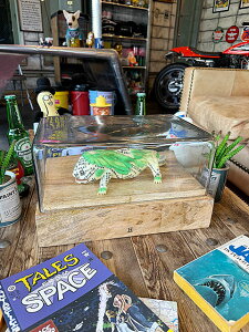 KXh[@fBXvCP[X@i`/N^O2/35cmj@V[P[X@Pi@AJG݁@AJG݁@ObY