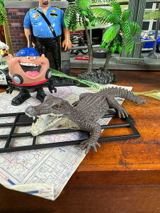 ���j�@�t�B�M���A�@S�T�C�Y�@�i�J�C�}���j�@঒��ރ��A���t�B�M���A�@�A�����J���G�݁@�A�����J�G�݁@�O�b�Y�@�������@�V���b�v�C���e���A�@�A�j�}���@�����@�W�I���}