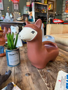 }@EH[^OJ@WE@iuEj@AJG݁@AJG݁@ObY@@VbvCeA@K[fjO@ƒ؉