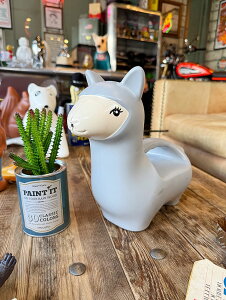 }@EH[^OJ@WE@iO[j@AJG݁@AJG݁@ObY@@VbvCeA@K[fjO@ƒ؉