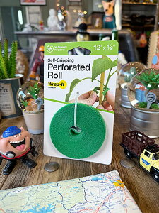 Wrap-it@bvCbg@[@12C`@nT~ōDȒŃJbgĎg@AJG݁@AJG݁@ObY@ @K[WG݁@K[WOG݁@V