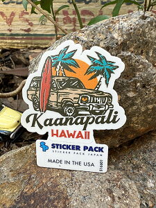 XebJ[pbN@AEghA@XebJ[@STCY@iJAipSUVj@MADE IN U.S.A.@ϐόfށ@PVCXebJ[@AJG݁@AJG݁@Lv@L