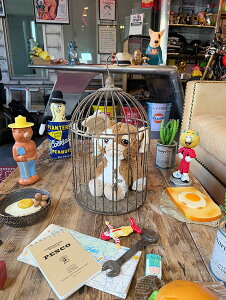 C~e[V@o[hP[W@K[fG݁@CeAp̒@ԑ@AJG݁@AJG݁@ObY@@VbvCeA