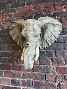 Gt@g@wbhIuWF@]E@EH[fBXvC@Ǐ@AJG݁@AJG݁@W[NObY@W[NG݁@@v[g@Mtg@@