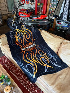n[[_rbh\@B&S@tCX@^I@AJG݁@AJG݁@ObY@ @K[WG݁@K[WOG HARLEY@DAVIDSON@oCN@oCJ[@u