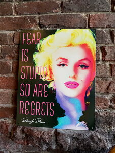 �}�������E�������[�@�u���L�Ŕ@�iFEAR IS STUPID, SO ARE REGRETS�j�@�A�����J���G�݁@�A�����J�G�݁@�f��O�b�Y�@�������@�V���b�v�C���e���A