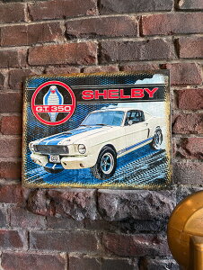 VFr[GT350@uLŔ@LEVFr[@AJG݁@AJG݁@ObY@ @K[WG݁@K[WOG݁@VbvCeA