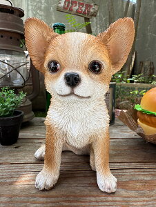 `@WX^`[@hbOI[ig@IuWF@AJG݁@AJG݁@ObY@@VbvCeA@킢@hbOZs[