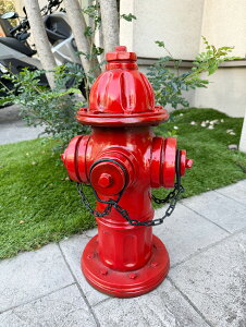 �A�����J�̏��ΐ��@���A���I�u�W�F�@�i���b�h�j�@�A�����J���G�݁@�A�����J�G�݁@�A���e�B�[�N���@���B���e�[�W���@�r���e�[�W���@���g���@�m�X�^���W�b�N�@�O�b�Y�@�������@�V���b