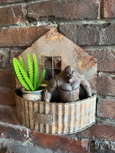 WN[h@pЍH@Ǌ|@v^[@AJG݁@AJG݁@K[WG݁@K[WOG݁@VbvCeA@K[fjOObY@K[fjOG݁@O