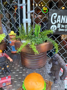 {gibg@v^[@iLTCYj@Pi@AJG݁@AJG݁@K[WG݁@K[WOG݁@VbvCeA@K[fjOObY@K[fjOG݁@O[