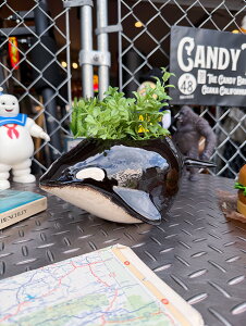 C̉ҁ@V`@v^[@퐻@AJG݁@AJG݁@K[fjOObY@K[fjOG݁@O[CeA@GNXeA@u@IuWF@o@@