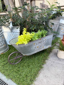 �t�@�[�}�[�Y�}�[�P�b�g�@�K�[�f���J�[�g�@��֎�