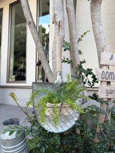 �y���b�g�@�X�R�b�v�^�@�E�H�[���v�����^�[�@�iL�T�C�Y�j�@�A�����J���G�݁@�A�����J�G�݁@�A���e�B�[�N���@���B���e�[�W���@�r���e�[�W���@���g���@�m�X�^���W�b�N�@�O�b�Y�@�������