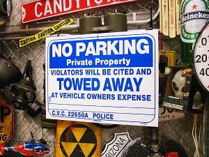 AJ̃m[p[LOTC@Ŕ@AJG݁@AJG݁@ObY