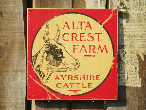 �̂̃A�h�o�^�C�W���O�@�E�b�h�T�C���@�V���[�Y���e�@�i�A���^�N���X�g�t�@�[���j�@�Ŕ@�A�����J���G�݁@�A�����J�G�݁@�O�b�Y