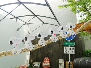 Xk[s[@oT~@8Zbg  AJG AJG