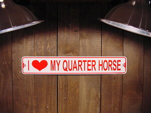 I LOVE MY QUARTER HORSE@ACEuE}CENH[^[z[X@~jXg[gTC@Ŕ@AJG݁@AJG݁@ObY