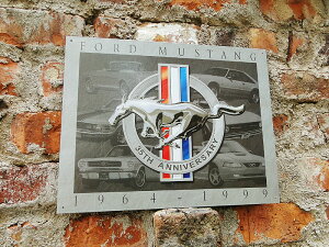 }X^O@35th Anniversary@uLŔ@AJG݁@AJG݁@ObY