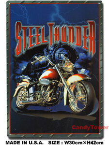 STEEL THUNDER@uLŔ@AJG݁@AJG݁@ObY