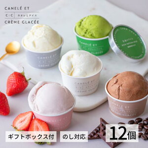 アイス 12個 ギフト 高級 詰め合わせ のし対応 【 至福のアイス 12個入】 アイスクリーム 美味しい かわいい おしゃれ 人気 プレゼント