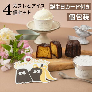 a Mtg XC[c aJ[h   ACX Jk  蕨 yJkƃ~NojACX̃Zbgz ~Noj 