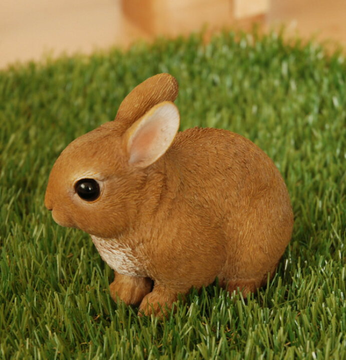 市場 カヤ アニマル Locomall うさぎ子ども腹巻き 市場 カヤ アニマル Locomall うさぎ子ども腹巻き