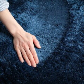 ラグ 厚手 ラグマット おしゃれ 190x240 洗える カーペット 北欧 可愛い オールシーズン マット シャギーラグ 冬 ホットカーペット対応 床暖房対応 長方形 極厚 冬用 レトロ アンティーク フレンチ カントリー 暖かい 3畳 絨毯