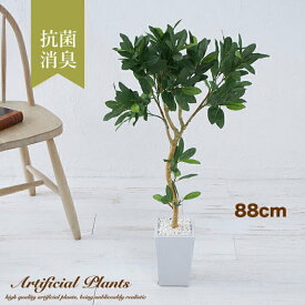 【マラソン限定★ポイント5倍】オリーブ ツリー 88cm 人工観葉植物 光触媒 フェイクグリーン 造花 観葉植物 アレンジ 母の日 大型 フェイクフラワー ギフト 大きい 大きめ 鉢植 木 インテリア 贈答 リアル 贈り物 おしゃれ 置物 本物 オブジェ 北欧 カフェ風