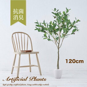 tFCNO[ ϗtA tFCN ^ I[u c[ 120cm lHϗtA G}  AW ^ tFCNt[ ̓ Mtg  A CeA 傫 傫 A 蕨 