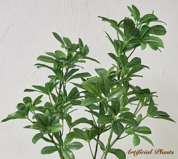 楽天市場】フェイクグリーン 観葉植物 フェイク 大型 カボック 90cm 