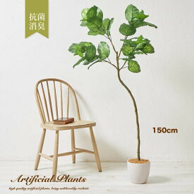 【マラソン限定★ポイント5倍】ウンベラータ 150cm 人工観葉植物 光触媒 フェイクグリーン 造花 観葉植物 アレンジ 母の日 大型 フェイクフラワー ギフト 大きい 大きめ 鉢植 木 インテリア 贈答 リアル 贈り物 おしゃれ 置物 本物 オブジェ 北欧 カフェ風