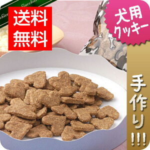 lR|X֑ yYzJVEՂ€~NNbL[@50gypzypNbL[zyYNbL[zy€~Nz