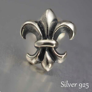 Vo[sAX Y Ԃ ́ijX^bh Ўp Е VO [   ubN Ԃ Vo[925 jp Vo[ANZT[  ySi1