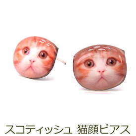 楽天市場 スコティッシュフォールド 猫 ネコ ジュエリー アクセサリー の通販