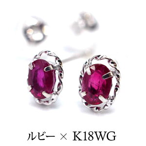 sAX ZJhsAX K18 WG r[ VR a yiۏ؏z { AM[Ή 18 18Ky1oz v[g